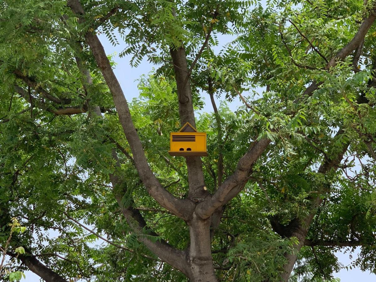 Nature Resort Agra  Buitenkant foto