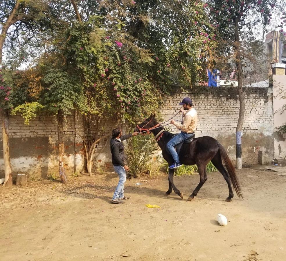 Nature Resort Agra  Buitenkant foto
